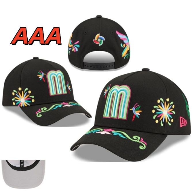 Gorro de Pico AA11